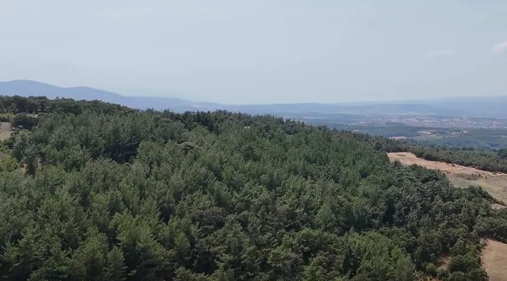 Savaştepe Ormanları