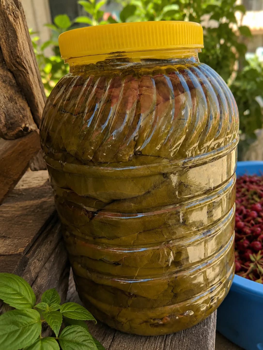Üzüm yaprağı