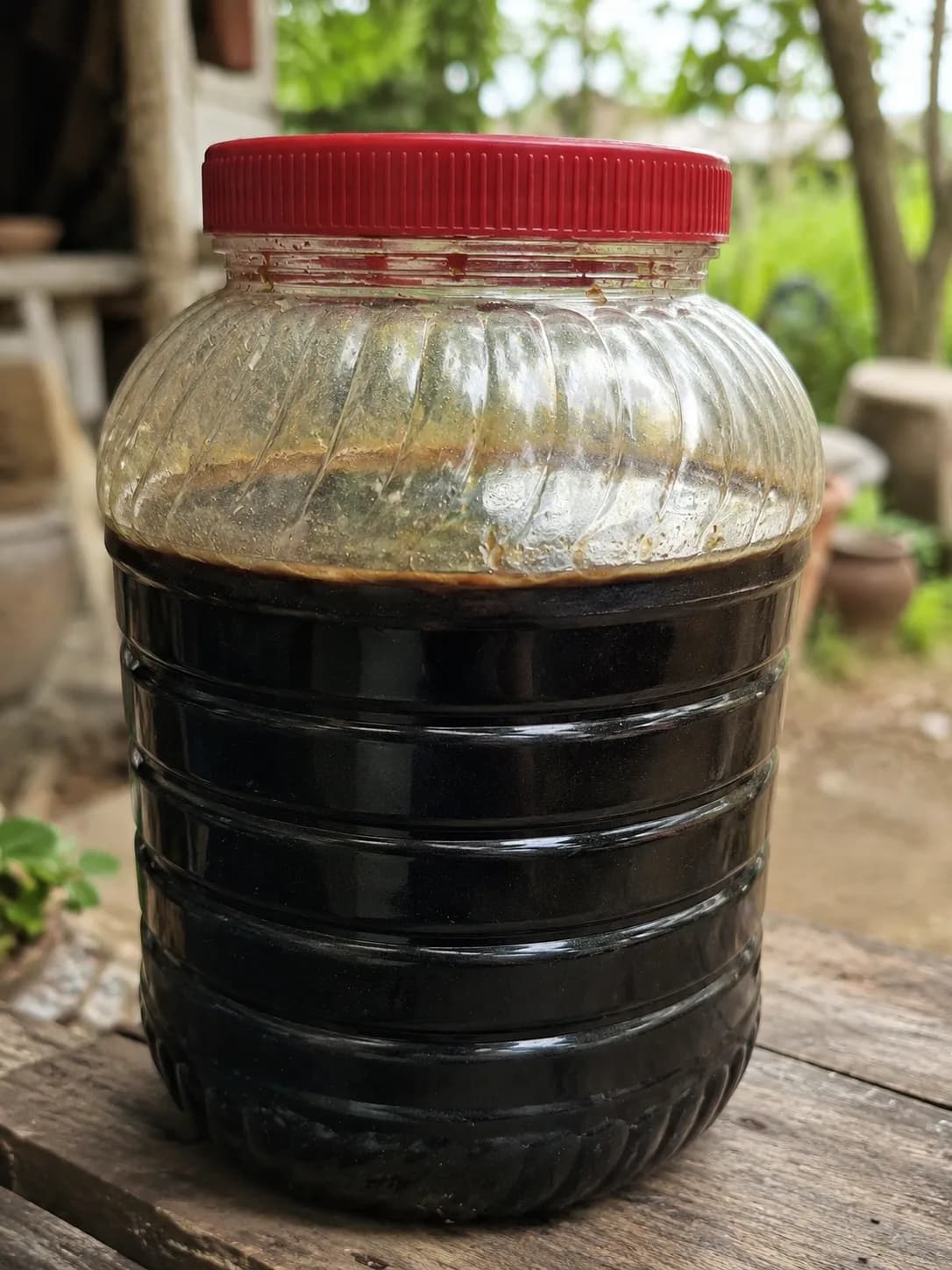 Dut pekmezi