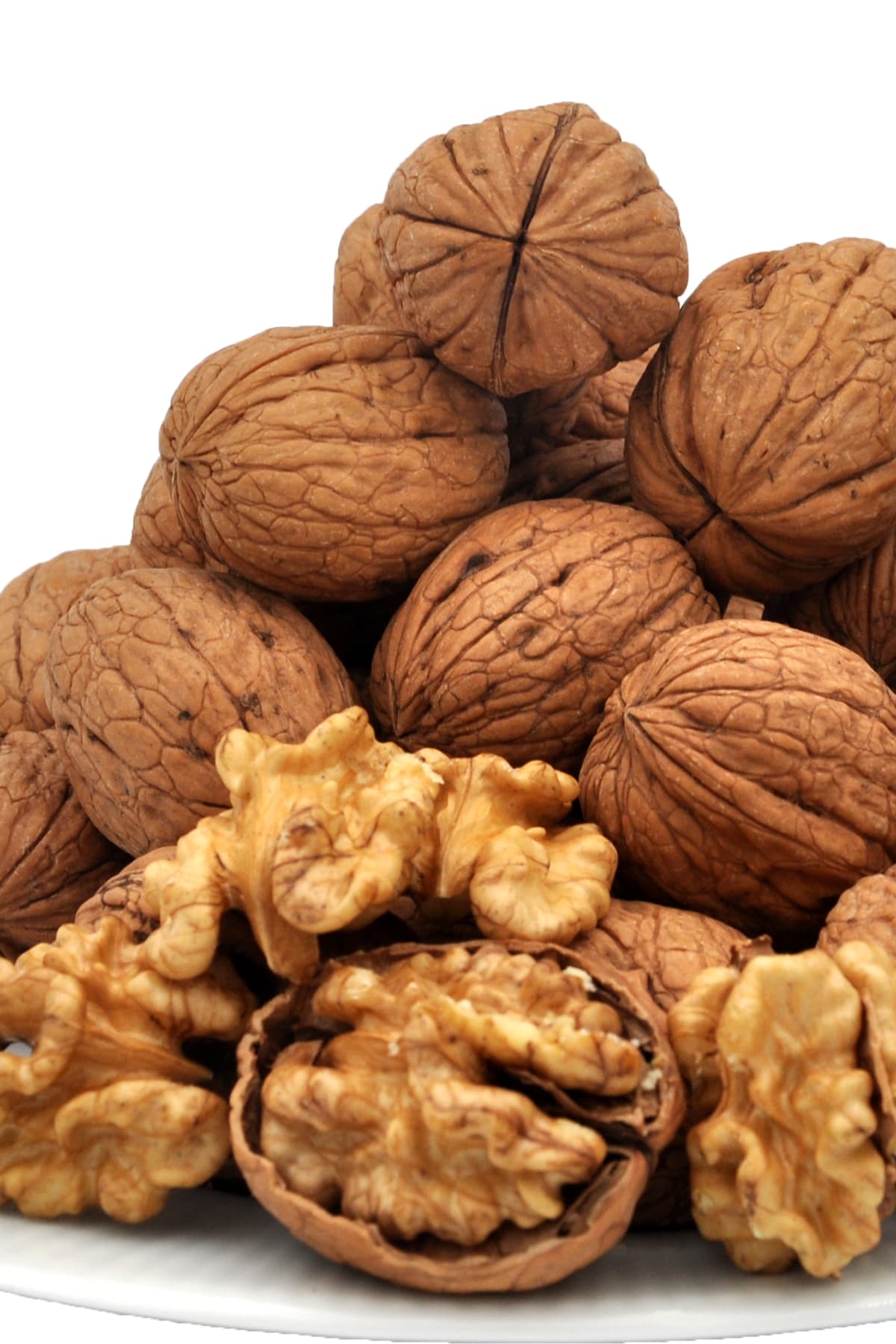 Ceviz Chandler - Jumbo Boy