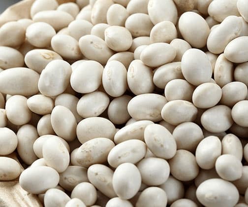 Yeşilhisar Organik Kuru Fasulye